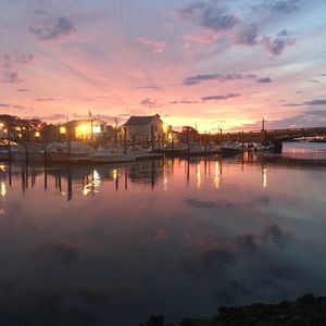 Meet your Posher, Fred